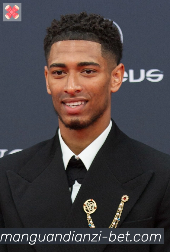 维尼修斯