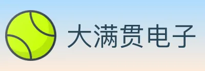 大满贯电子 logo